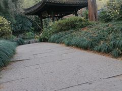 -杭州植物园