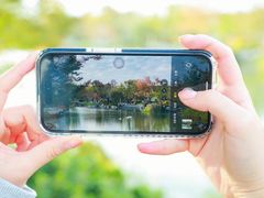 -梅园婚恋·婚姻介绍