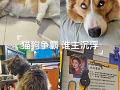 -平行世界·猫咖(首经贸店)