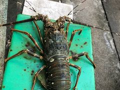 -芽庄MP泰式海鲜海景餐厅