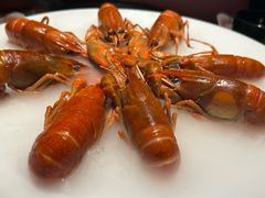 -红盔甲·小龙虾(车公庙店)