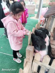 -萌宠亲子动物乐园(槐房万达店)