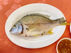 -深运潮州粥(东门店)
