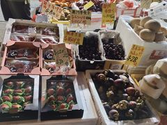 -油麻地果栏