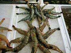 -济南海鲜大市场