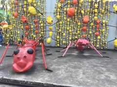 -东芭乐园