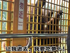 -上海野生动物园