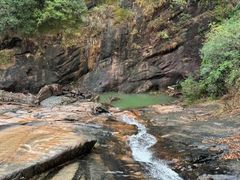 -广州白江湖森林公园