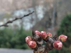 -沕沕水生态风景区