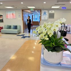 -杭州贝瑞斯美华妇儿医院·早孕·产检·儿科