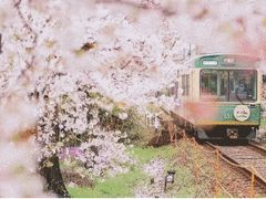 -南京晓庄学院(莫愁校区)