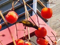 -东亿天弘演播大厅