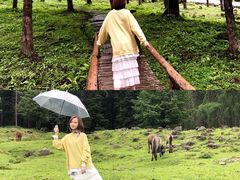 -硗碛藏寨·神木垒景区