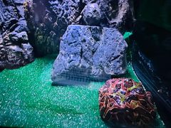 -石家庄海洋公园