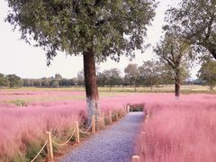 -汉长安城未央宫国家考古遗址公园