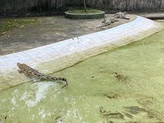 -三水森林公园