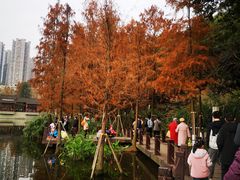 -重庆彩云湖湿地公园
