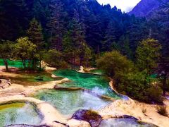 -黄龙山原始森林景区