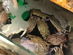 -阿杰臻选海鲜饭店(普陀山店)