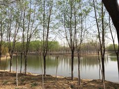 -东郊湿地公园
