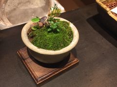 -是山居