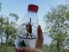 -上海吴淞炮台湾国家湿地公园