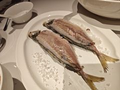 -宴遇·福建荟馆(新景中心店)