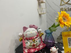 -凡碧诗毛孔收细