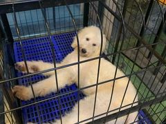 -MOJO密室逃脱(中街旗舰店)