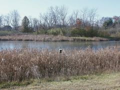 -白鹭湾湿地公园