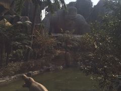 -中华恐龙园
