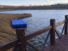 -塞罕坝国家级自然保护区