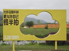 -径山花海
