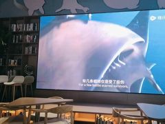 -抱抱地球咖啡馆(国家海洋博物馆店)