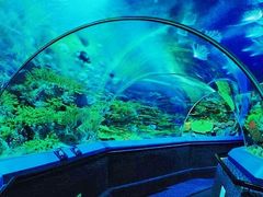 -上海海洋水族馆