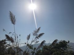 -世界和平塔