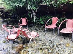 -源泉冷水鱼庄(小鱼洞店)