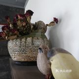 店里仪器设备也很全面，总体感觉还是不错的