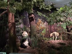 -湖南省地质博物馆