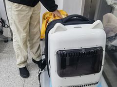 -四月宠物医院·猫专科·心脏专科·内科(转塘店)