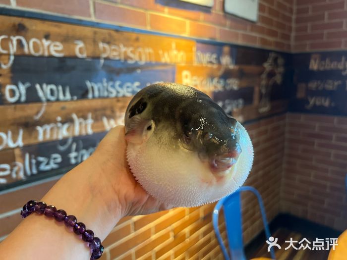 永安鱼庄·镇江菜(三店纬五路店)图片