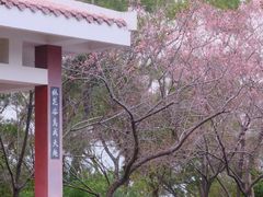 -金鸡山公园