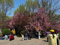 -长白岛森林公园