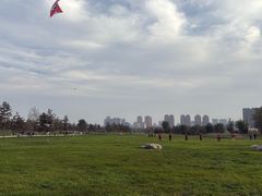 -汉长安城未央宫国家考古遗址公园