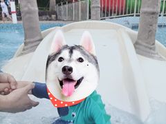 -重庆海昌加勒比海水世界