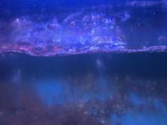 -月下料理(楷林IFC店)