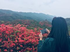 -大围山国家森林公园