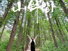 -同里国家湿地公园
