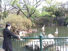 -昆明动物园