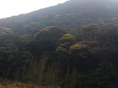 -广州市石门国家森林公园